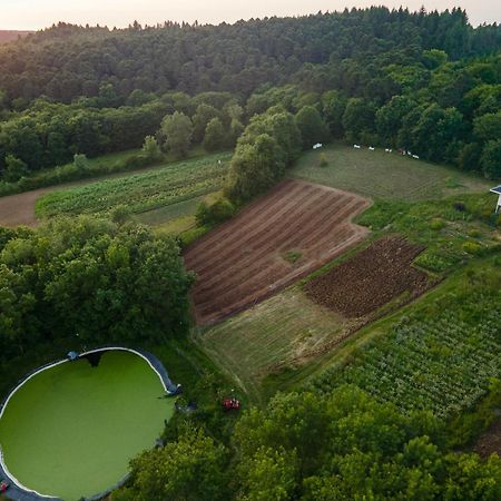 Narkoey Ecologic Hotel & Organic Farm Κοτζαελί Εξωτερικό φωτογραφία