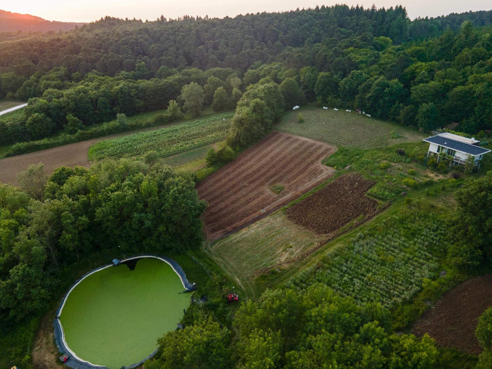 Narkoey Ecologic Hotel & Organic Farm Κοτζαελί Εξωτερικό φωτογραφία