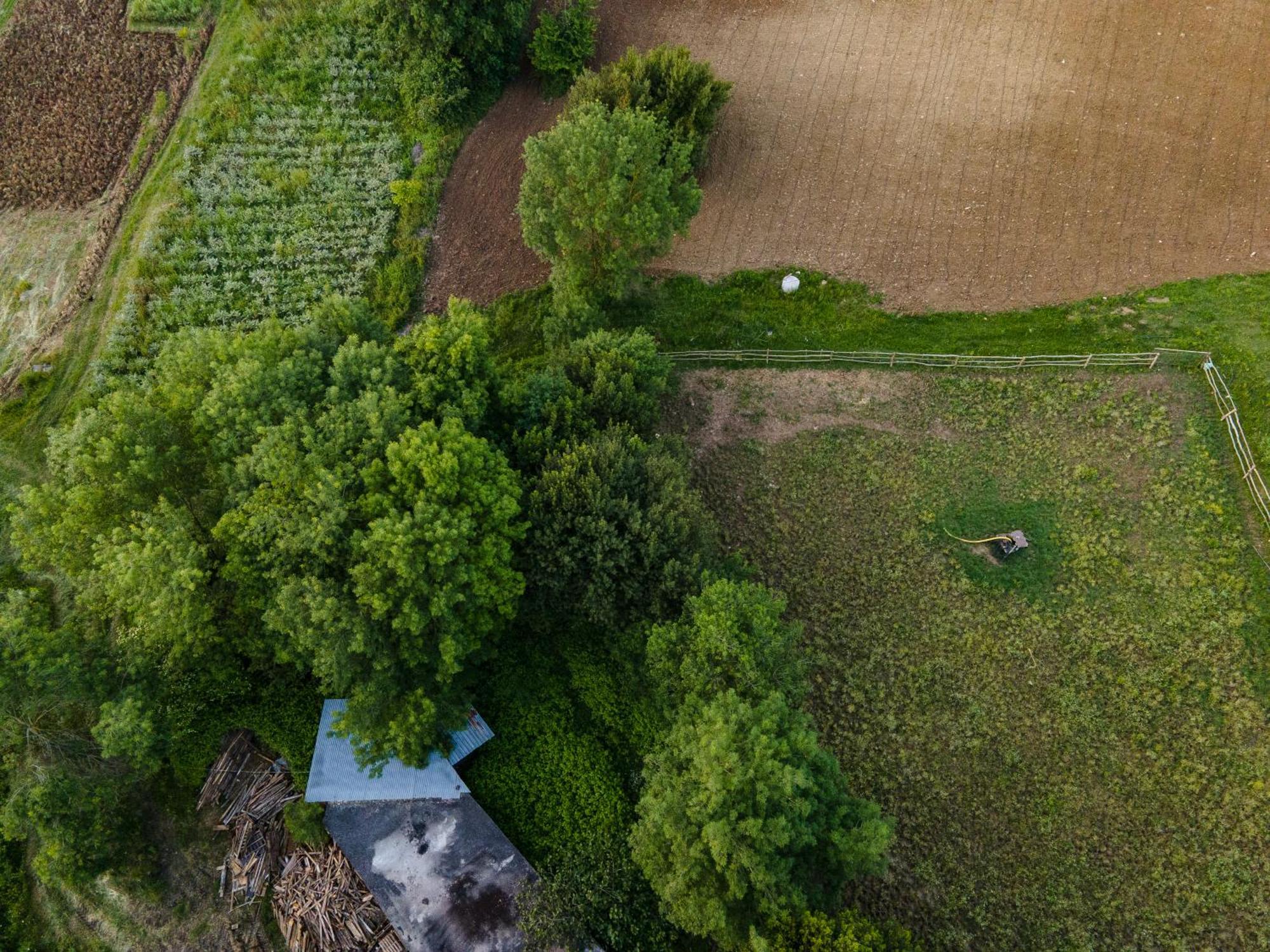 Narkoey Ecologic Hotel & Organic Farm Κοτζαελί Εξωτερικό φωτογραφία