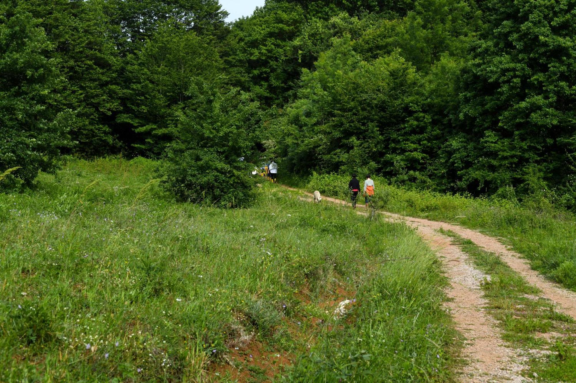 Narkoey Ecologic Hotel & Organic Farm Κοτζαελί Εξωτερικό φωτογραφία