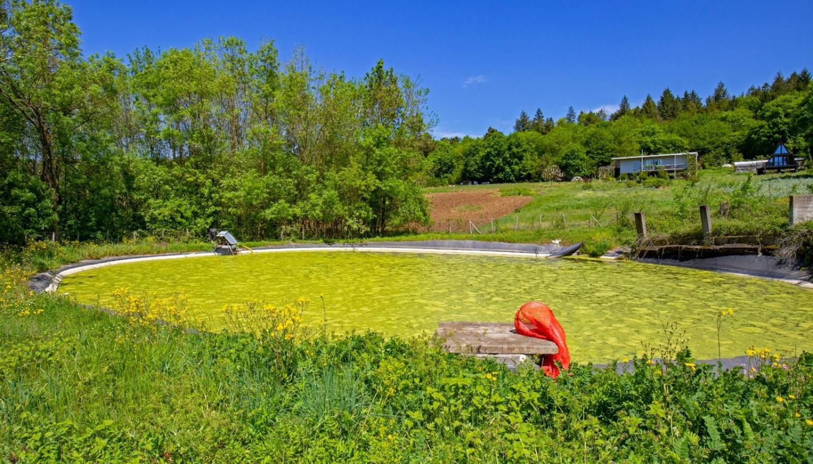 Narkoey Ecologic Hotel & Organic Farm Κοτζαελί Εξωτερικό φωτογραφία