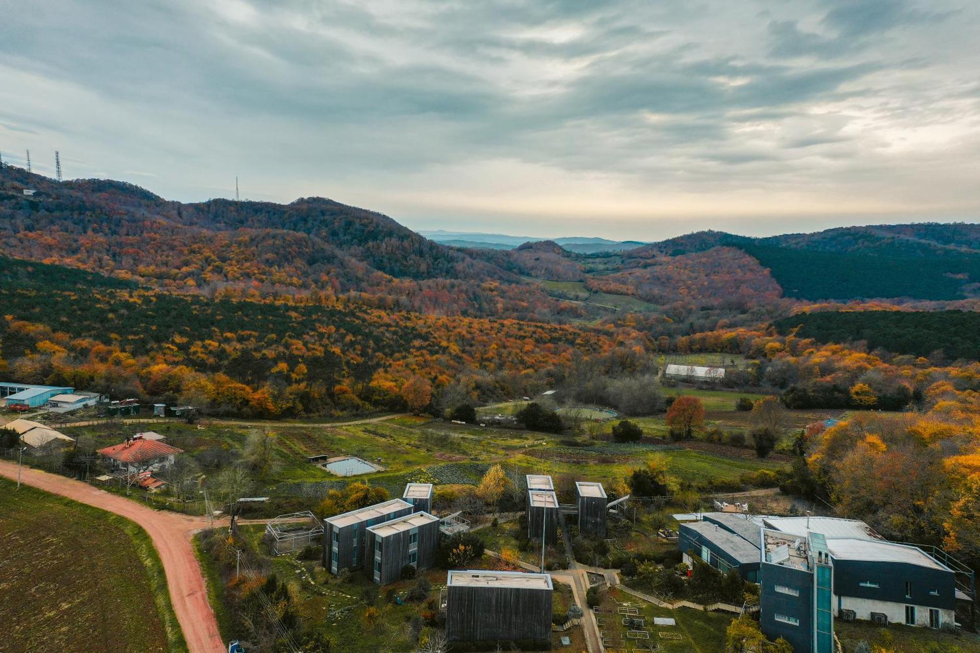 Narkoey Ecologic Hotel & Organic Farm Κοτζαελί Εξωτερικό φωτογραφία